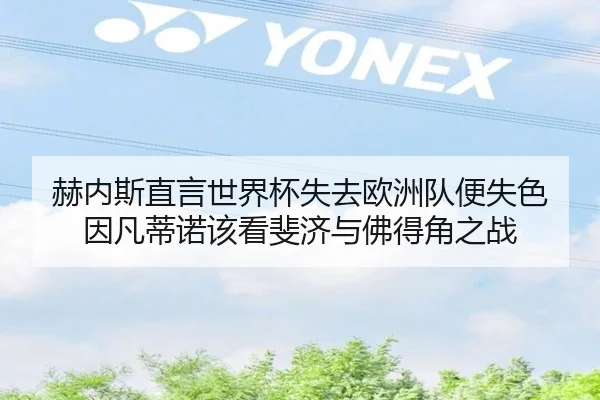 赫内斯直言世界杯失去欧洲队便失色 因凡蒂诺该看斐济与佛得角之战